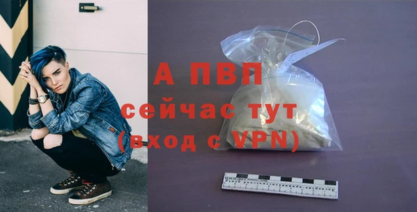 мдпв Богородск