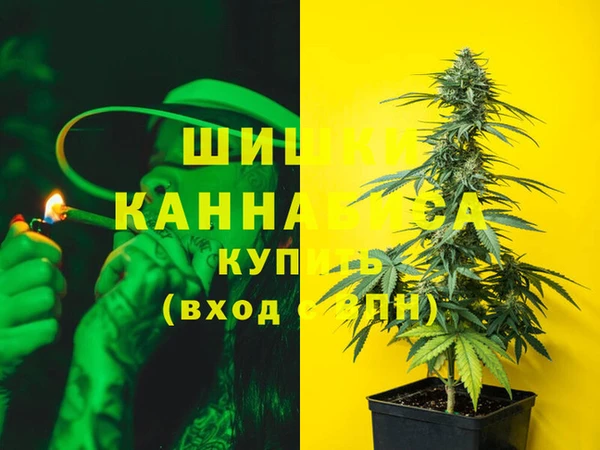 мдпв Богородск