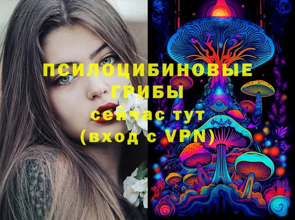 мдпв Богородск
