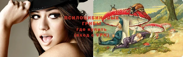 каннабис Богородицк