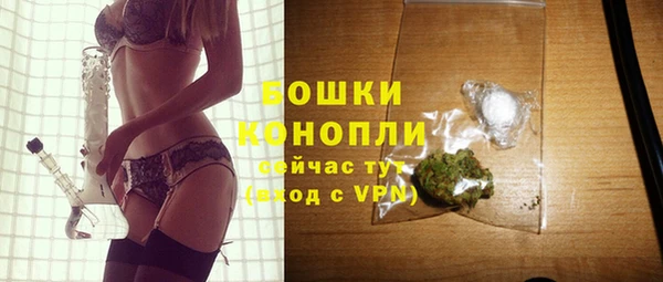 мдпв Богородск