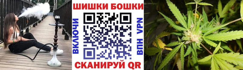 Шишки марихуана сатива как найти закладки Комсомольск-на-Амуре